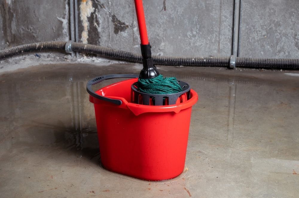 Bucket and Mop in a Flooded Basement